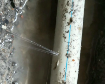 开平卫生间测漏水多少钱